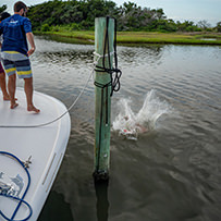 Hatteras Marlin Club Blue Marlin Release Tournament
